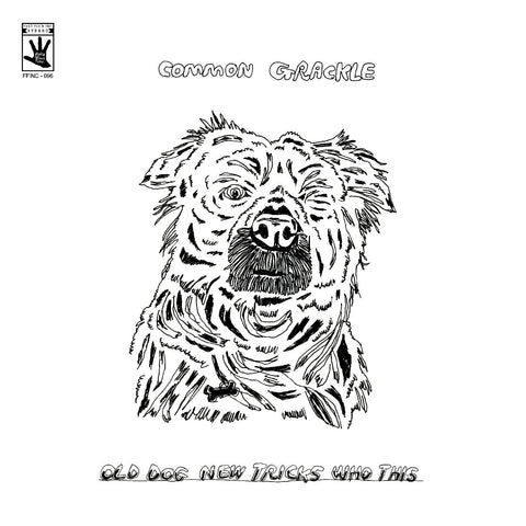 Common Grackle - Old Dog New Tricks Who This ((Vinyl))