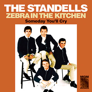 The Standells - Zebra in the Kitchen / Someday You'll Cry ((Vinyl))