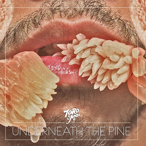 Toro Y Moi - Underneath The Pine ((CD))