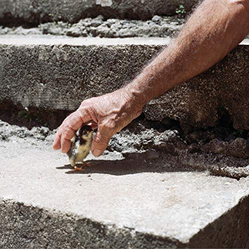 Big Thief - Mythological Beauty ("CONCRETE" GRAY VINYL) ((Vinyl))