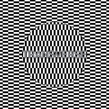 Carter Tutti Void - Transverse (())