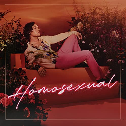 Darren Hayes - Homosexual ((CD))