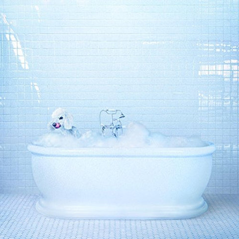 Frankie Cosmos - VESSEL ((Vinyl))