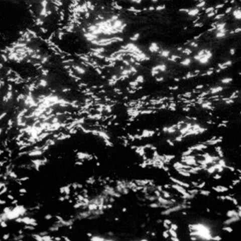 GROUPER - AIA: Dream Loss ((Vinyl))