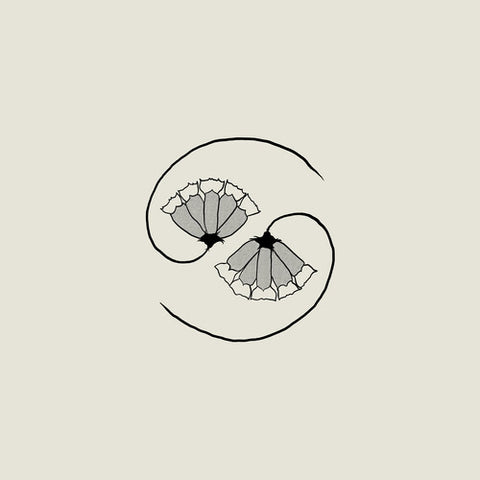 Godspeed You Black Emperor - G D's Pee At State's End! (Incl. 10") ((Vinyl))