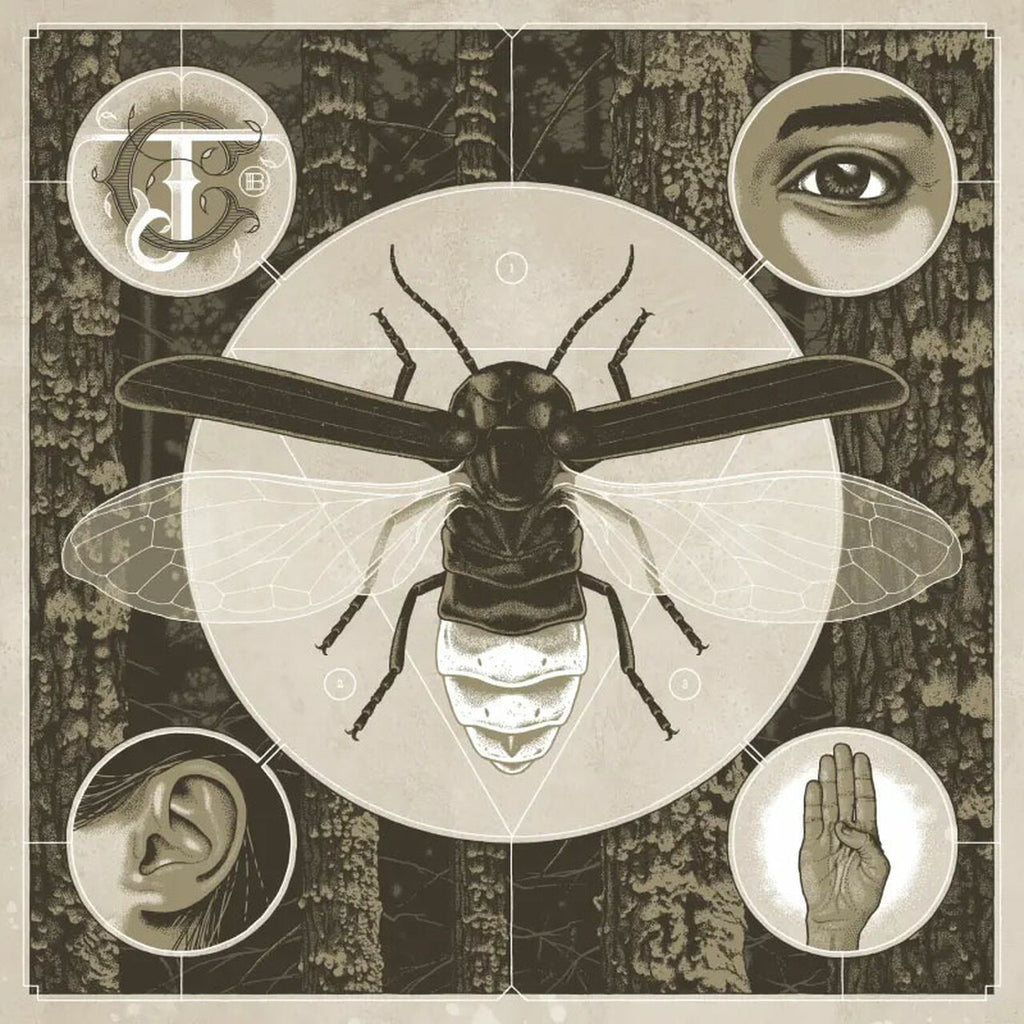 Jerry Cantrell - Brighten (180 Gram Vinyl, Colored Vinyl, Blue) ((Vinyl))