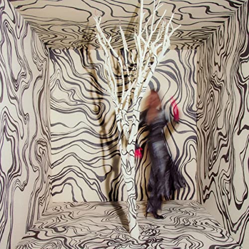 Madison Cunningham - Revealer [LP] ((Vinyl))