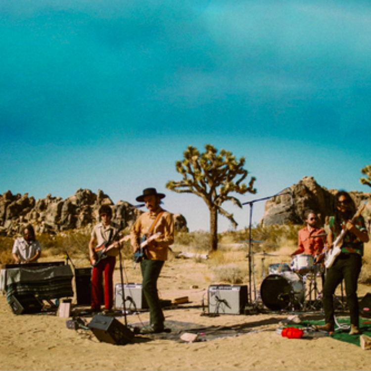 Night Beats - Levitation Sessions (Colored Vinyl, Indie Exclusive) ((Vinyl))