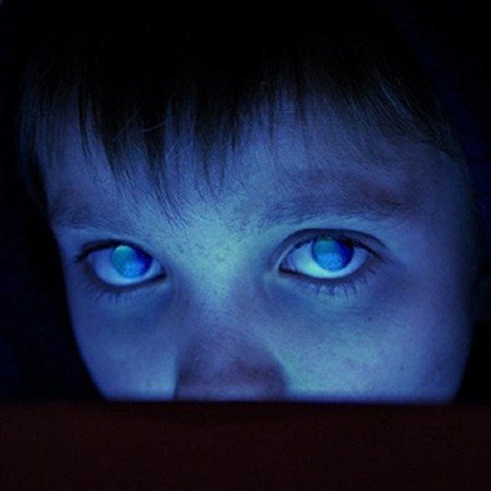 Porcupine Tree - FEAR OF A BLANK PLANET ((Vinyl))
