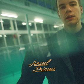 Rex Orange County - Apricot Princess - 5th Anniversary Edition (RSD 4/23/2022) ((Vinyl))