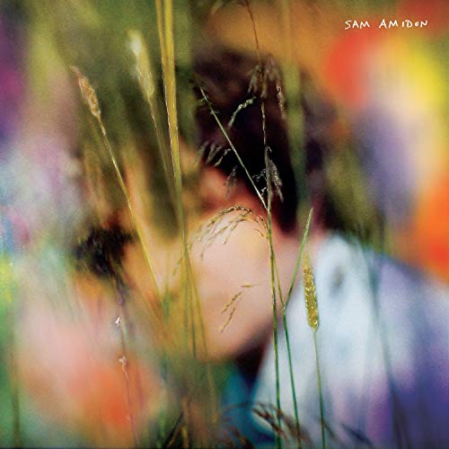 Sam Amidon - Sam Amidon (Blueberry Marble) (())