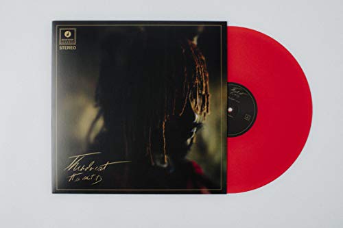 Thundercat - It Is What It Is (Colored Vinyl, Red, 140 Gram Vinyl, Photos) ((Vinyl))