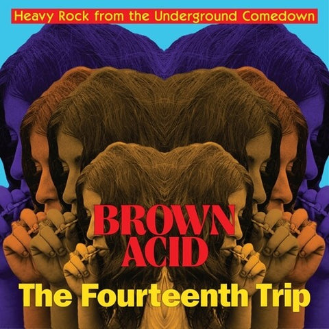 VARIOUS ARTISTS - Brown Acid: The Fourteenth Trip ((Vinyl))