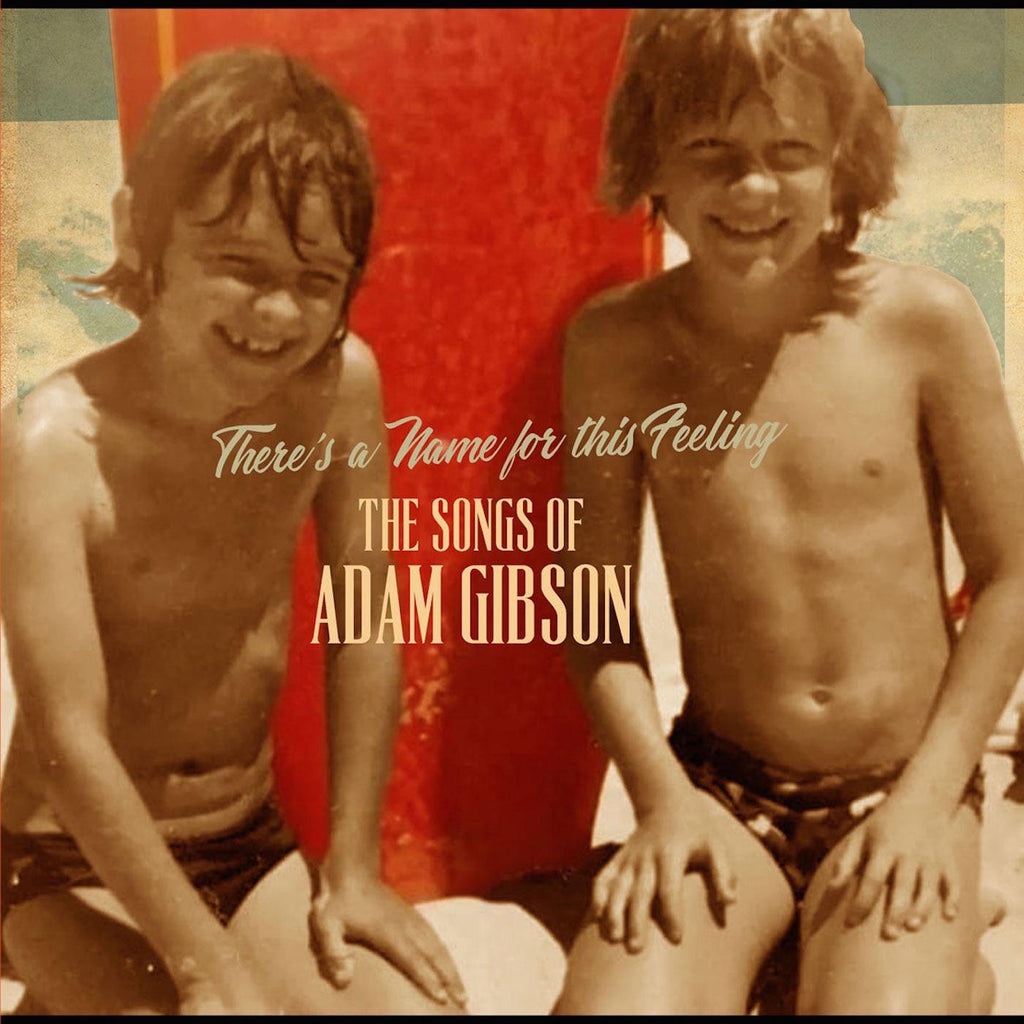 Adam Gibson - The Songs of Adam Gibson ((Vinyl))