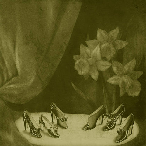 Alice Cohen - Into The Grey Salons ((Vinyl))