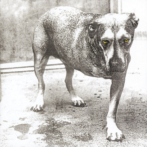 Alice In Chains - Alice In Chains (30th Anniversary Reissue) [Color Vinyl] [2LP] ((Vinyl))