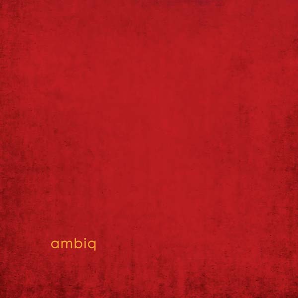 AMBIQ - ambiq ((Vinyl))