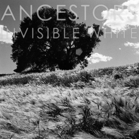 Ancestors - Invisible White (OPAQUE GRAY VINYL) ((Vinyl))