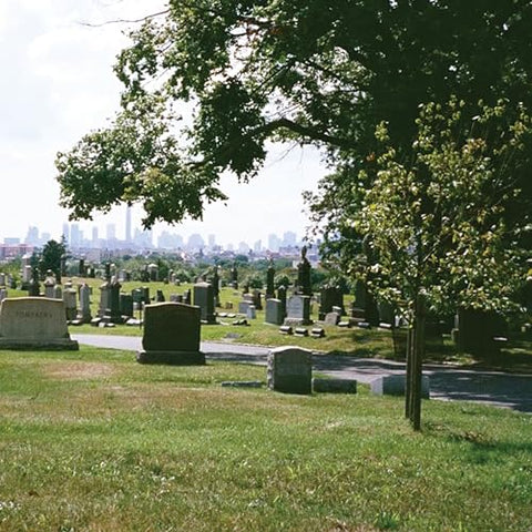 Bad Luck. - Take What You Need (Evergreen Cemetery) ((Vinyl))