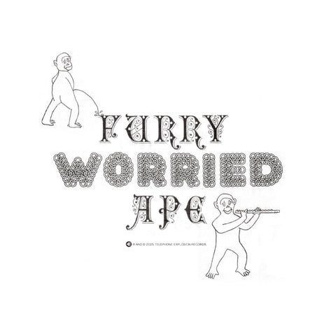 Badge Epoch - Furry Worried Ape ((Vinyl))