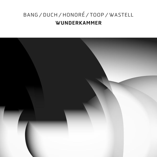 Bang/Duch/Honore/Toop/Wastell - Wunderkammer ((Vinyl))