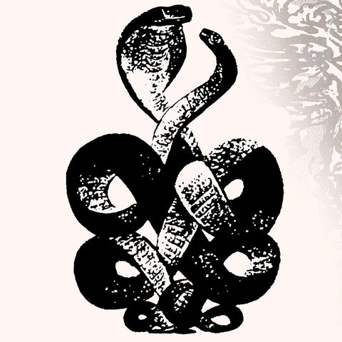 Bardo Pond - Volume 4 & 5 ((Vinyl))