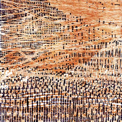 BARRY ANDREWSIN DISKO - Kuka siella? ((Vinyl))