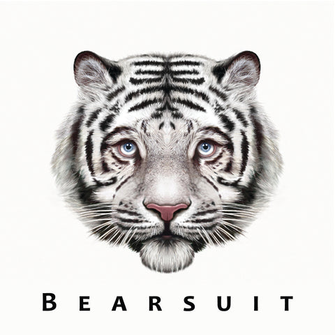 Bearsuit - The Phantom Forest ((Vinyl))