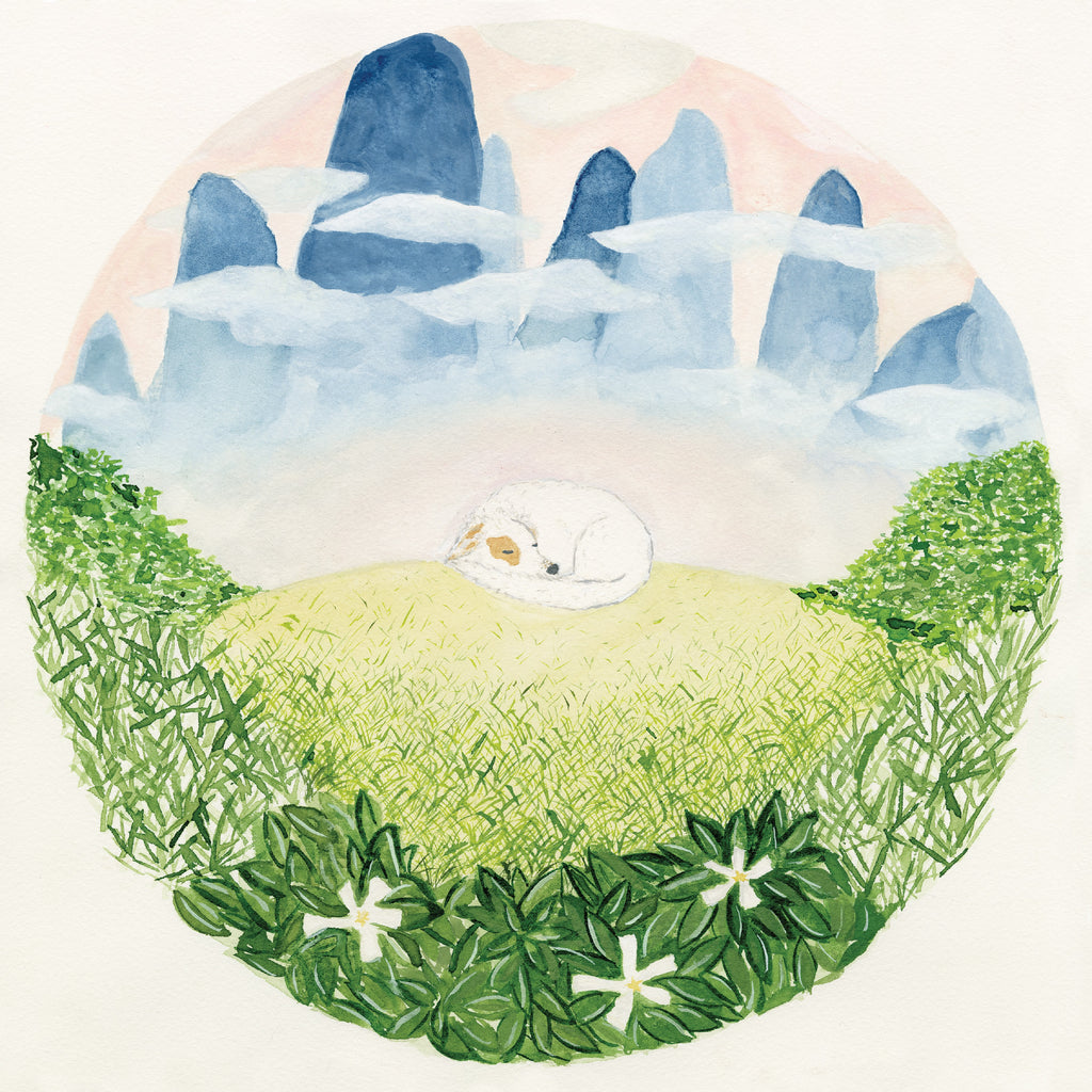 Ben Hackett - Songs For Sleeping Dogs ((Vinyl))