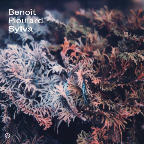 BENOIT PIOULARD - Sylva ((CD))