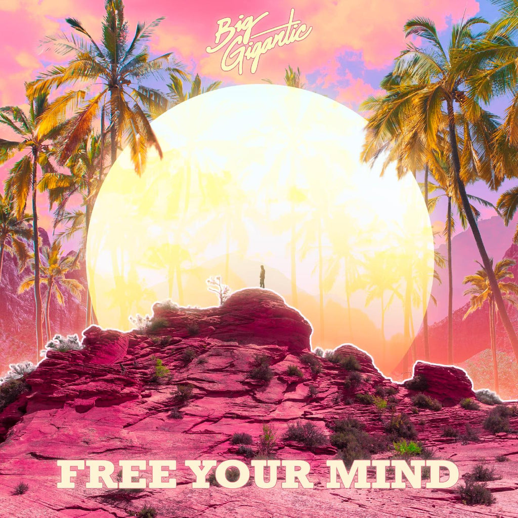 Big Gigantic - Free Your Mind ((CD))