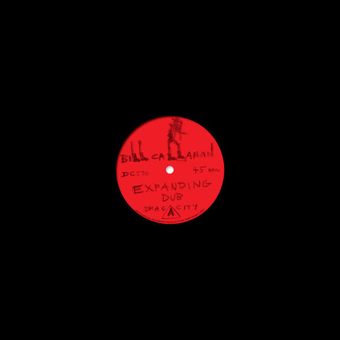 Bill Callahan - Expanding Dub ((Vinyl))
