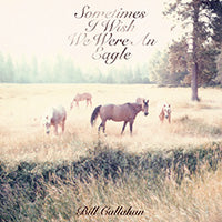 Bill Callahan - Sometimes I Wish We Were an Eagle ((CD))