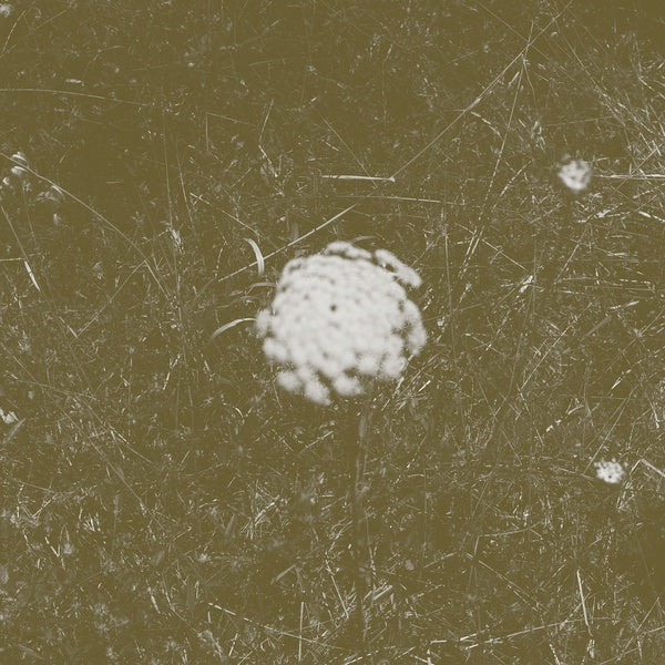 BILL SEAMAN & STEPHEN VITIELLO - The Clear Distance ((CD))