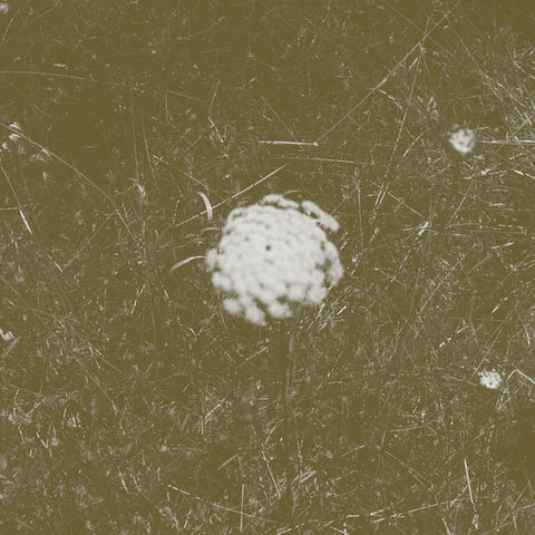 BILL SEAMAN & STEPHEN VITIELLO - The Clear Distance ((CD))