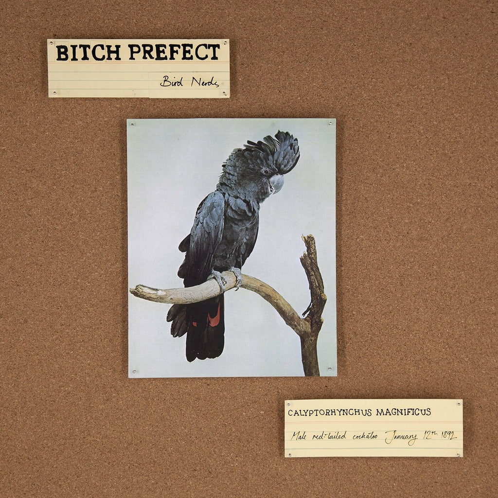 Bitch Prefect - Bird Nerds ((CD))