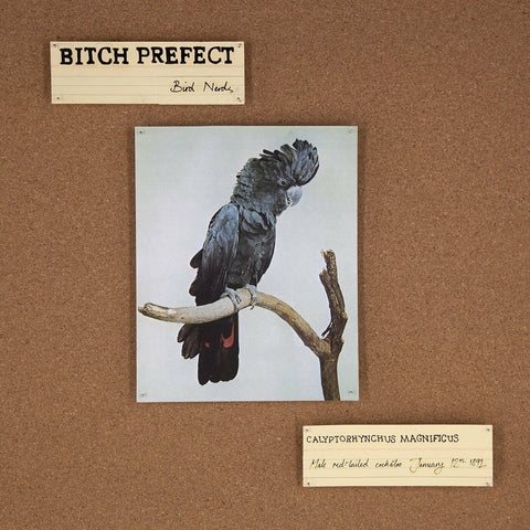 Bitch Prefect - Bird Nerds ((Vinyl))