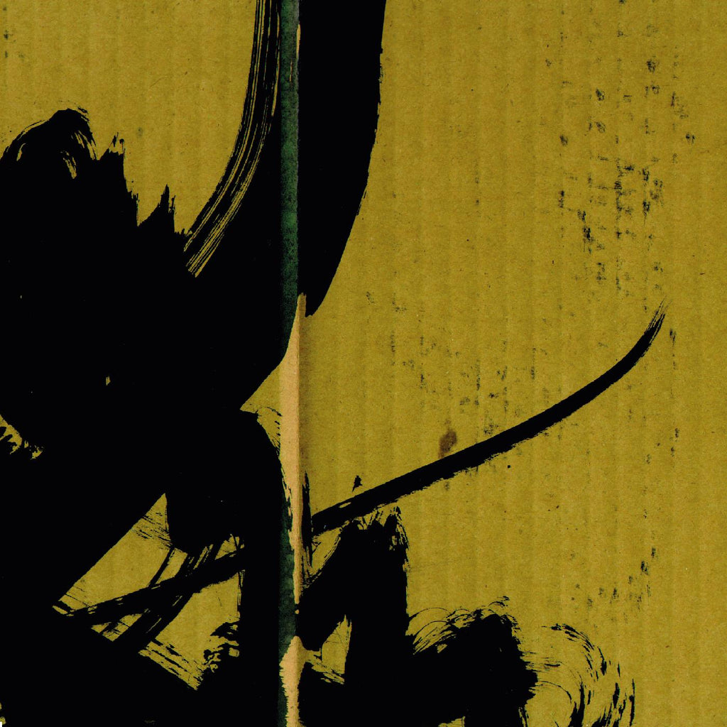 Bogdan Raczynski - Samurai Math Beats ((Vinyl))