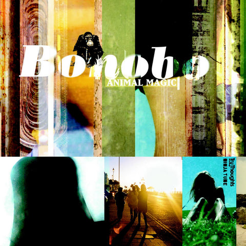 Bonobo - Animal Magic (YELLOW CASSETTE) ((Dance & Electronic))