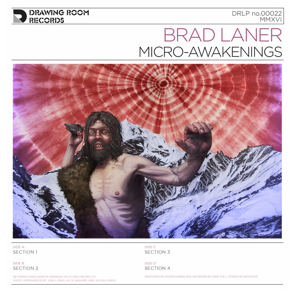 Brad Laner - Micro-Awakenings ((Vinyl))
