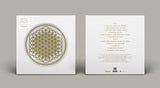 Bring Me the Horizon - Sempiternal (Indie Exclusive, Limited Edition, Picture Disc Vinyl, Anniversary Edition) ((Vinyl))