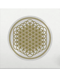 Bring Me the Horizon - Sempiternal (Indie Exclusive, Limited Edition, Picture Disc Vinyl, Anniversary Edition) ((Vinyl))