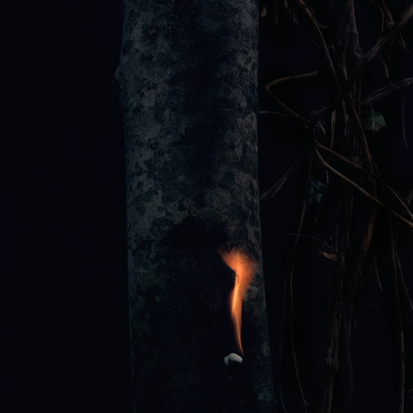 Bzdb - Jump Ship, Sit Lean, Be Still, Stand Tall ((Vinyl))