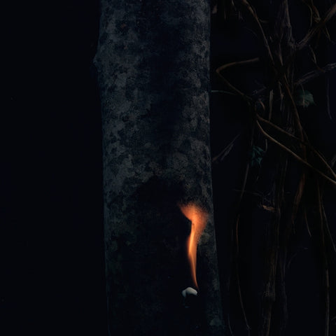 Bzdb - Jump Ship, Sit Lean, Be Still, Stand Tall ((Vinyl))