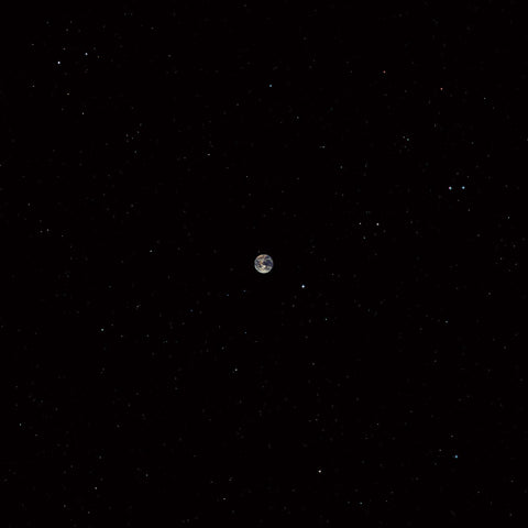 Ceramic Dog - Hope ((Vinyl))