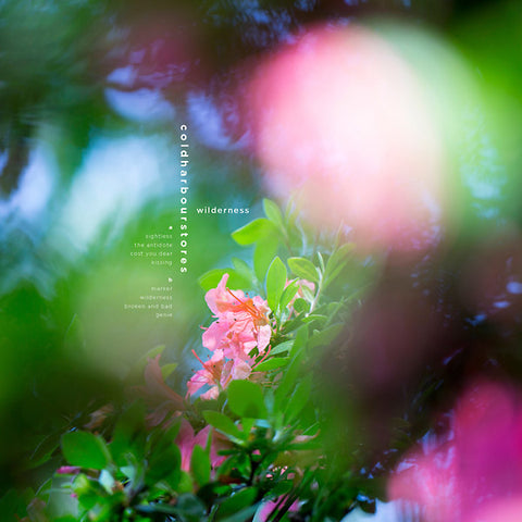 COLDHARBOURSTORES - Wilderness ((Vinyl))