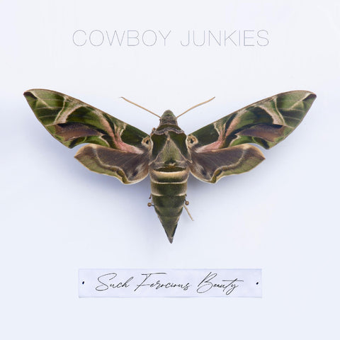 Cowboy Junkies - Such Ferocious Beauty (Green Translucent Vinyl) ((Vinyl))