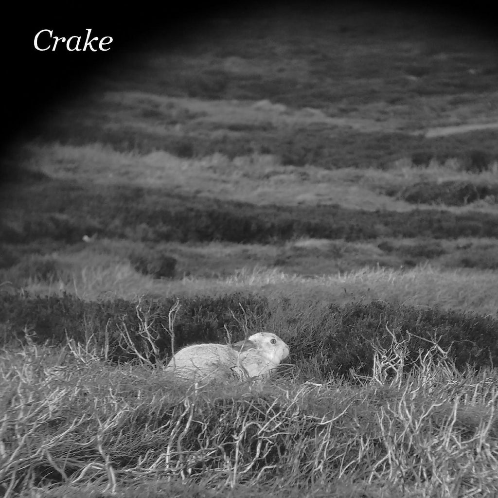 Crake - Enough Salt (For All Dogs) b/w Gef ((Vinyl))