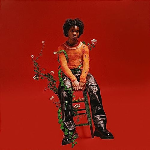 d4vd - Petals To Thorns [Translucent Black Ice LP] ((Vinyl))