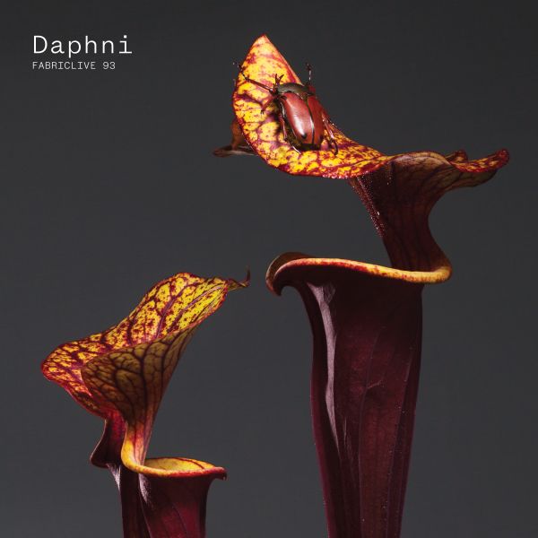 Daphni - Fabriclive 93 : ((CD))